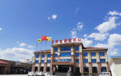 豆黃金零添加腐竹初心如磐，做食品匠人